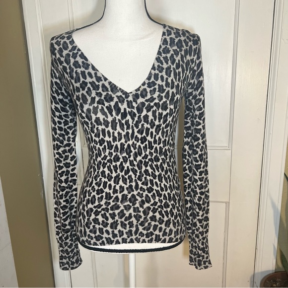 Express Tops - Express Leopard Print V-Neck Long Sleeve Sweater Top Size XS